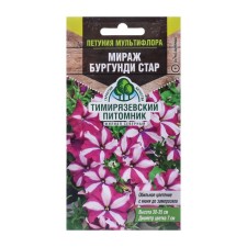 Flower seeds Petunia Multiflore 