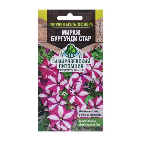 Flower seeds Petunia Multiflore "Mirage Burgundy Star", 10 pcs