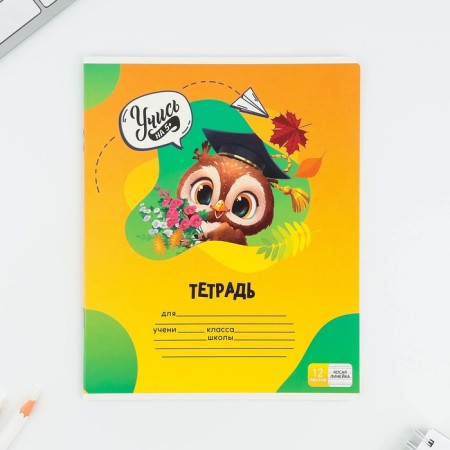Notebook 12 sheets in the roeer “September 1: Learn at 5+”, cover coated cardboard, block No. 1, 5 types of mix-5