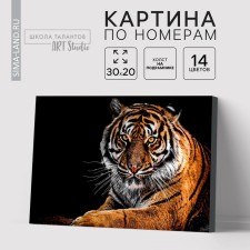 Picture on numbers on a canvas with a tiger subframe, 30x20 cm