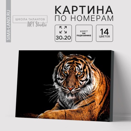 Picture on numbers on a canvas with a tiger subframe, 30x20 cm