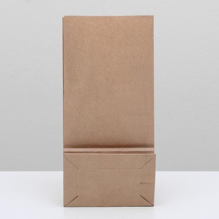 Craft package Paper bearing, rectangular bottom 12 x 8 x 24 cm-1