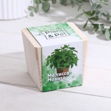 Set for growing P&P 