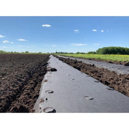 Mulching material, with perforation, 5 × 1.6 m, density 60 g/m², with UV stabilizer, black-2