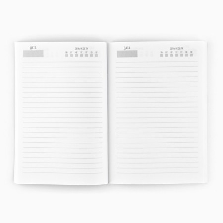 Diary in the soft cover A5, 80 liters. "Box"-2