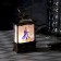 The LED figure "Snow Maiden" 7.6 × 13.5 × 3.2 cm, plastic, batteries AG13x3, glow warm white
