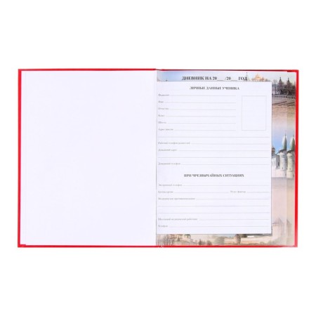Diary of a Russian schoolboy for grades 1-4, a solid cover 7BC, glossy lamination, 48 sheets-3