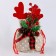 Gift bag with horns, 22 × 12 cm, species mix