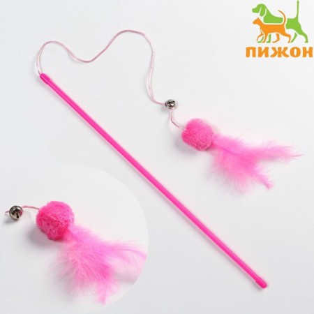 Domesticon-pink with a soft ball and feathers, pink