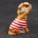 Porcelain figurine "Yorkshire Terrier T -shirt Red", 8 cm, copyright painting
