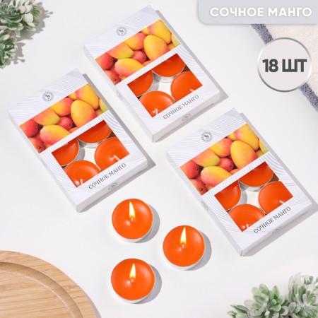 Handles of teaspoon flavored "juicy mango" in gift boxes, 18 pcs