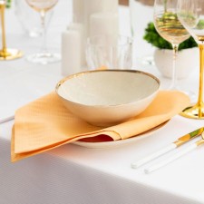 A set of napkins with impregnation of VGMO Ethel Shine 45*45cm, centralizer, pl. 192 g/m2