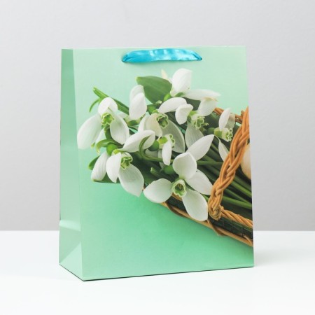 Laminated package, 26 x 32 x 12 cm