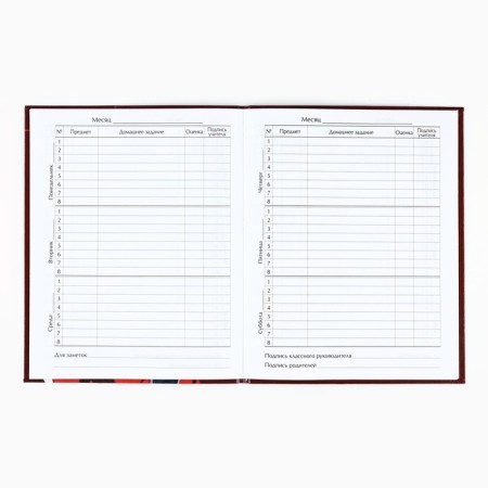 School diary for grade 1-11, in an integrated cover, 40 l. "Anime. Guy"-2