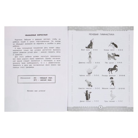 The speech therapy simulator “Speak correctly”, preparation for school.-3