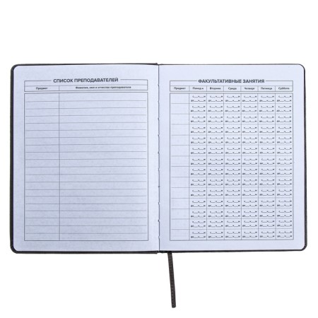 Universal Grade 1-11 Diary, 48 sheets "Traces", hard cover of artificial leather, embossing foil, liesse, OFSET block-6