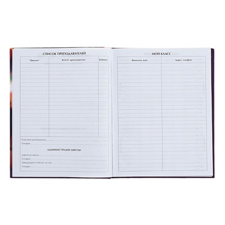 Universal diary for grades 1-11 Stylish Girl, hard cover, matte lamination, selective varnish, 40 sheets-4