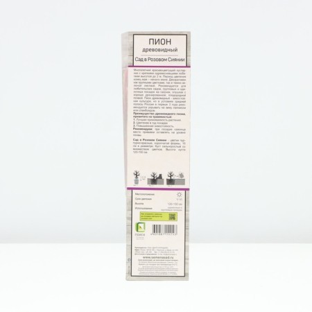 Pion tree "Garden in pink radiance", tube, 1 pc, spring 2025-1