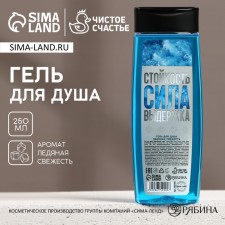 Shower gel “Persistence, power, endurance”, 250 ml, aroma of ice freshness, pure happiness
