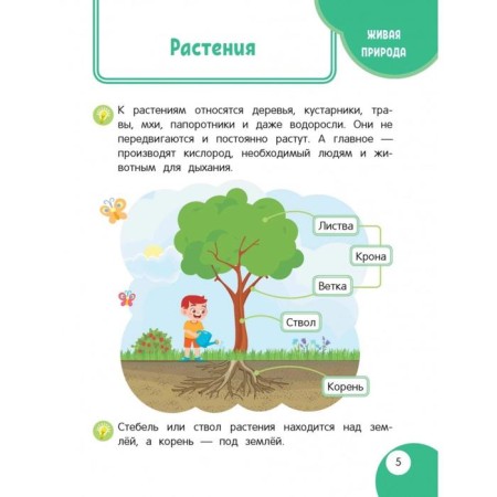 My first discoveries book: for children from 3 years old. Malanki T.G.-2
