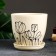 Flower pot "Tulips" beige, 2.4 liters