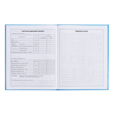 Diary for grades 5-11, 48 sheets of Kapibar Kapibarov, hard cover, glossy lamination, block 60 g/m2-11