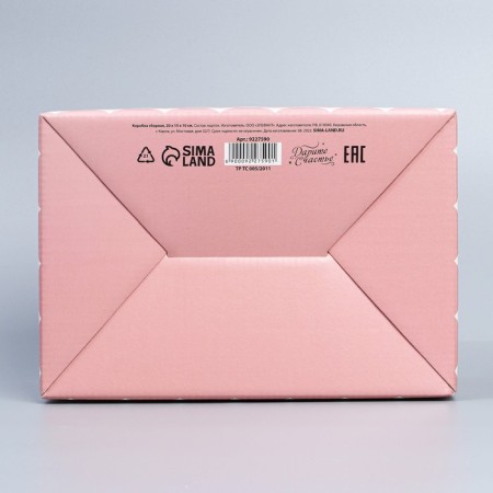 Box Gift team, packaging, “go hug”, 22 x 15 x 10 cm-5