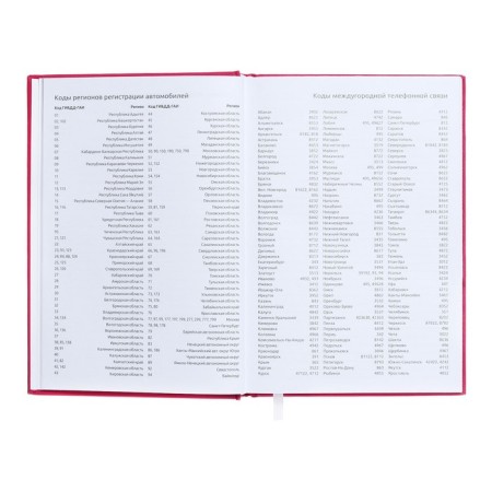 Dated diary 2024, A5, 176 sheets, Attomex.even, Bumvinyl cover, Lasse, Blok 70 g/m2, pink-7
