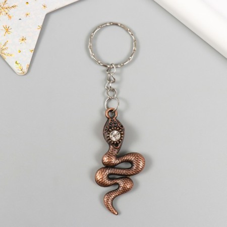 Metal keychain "Snake with rhinestones" mix 5.5x2 cm-1