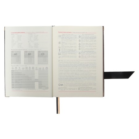 Diary half -dated A5+, 192 leafs Escalada, firm binding with foam, artificial leather "Siff", pancake embossing, metal corners, foil embossing, cream offset 80 g/m², black-5