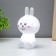Night "Bunny" LED RGB battery 3xlr44 mix 8x7.5x1 Risalux