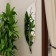 Interior stickers "Peryshko", mirror, decor on the wall, panel 73 x 18 cm, 6 email