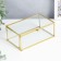 Casket glass with a metal frame "Rectangle with faces" gold 7x10.5x17 cm