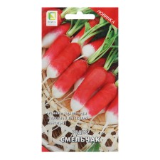 Seeds Radis 