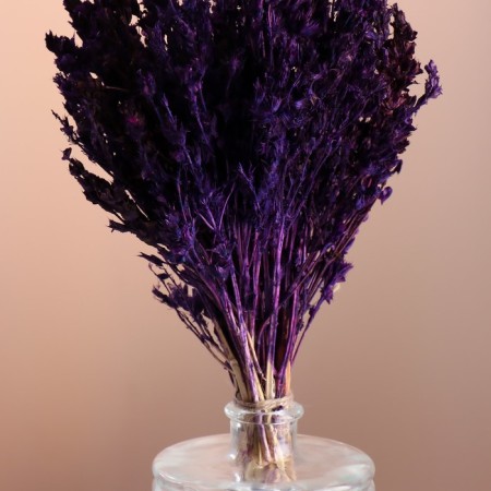 Set of dried flowers "chandra", banch length 40 (+/- 6 cm), purple-1