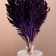 Set of dried flowers "chandra", banch length 40 (+/- 6 cm), purple