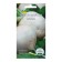 Seeds Radish Daikon "Sasha", 2 g