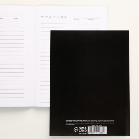 Diary "Tyumen", 52 sheets, A6-1