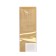 Peptide oil for the face, neck and neckline Sachel, 30 ml