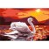 Diamond mosaic with full filling on the canvas "Swan", 20 x 30 cm