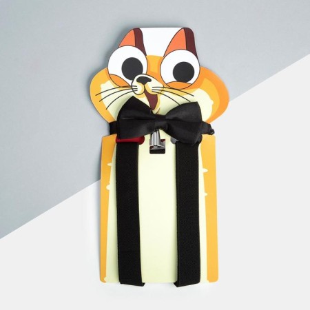 Set of children's kAFTAN "CAT" Litabrians and Babochka tie-1