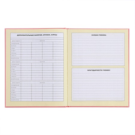 Diary for grades 1-4, solid cover "Girlfriends", matte lamination, selective varnish, block 60 g/m2-8