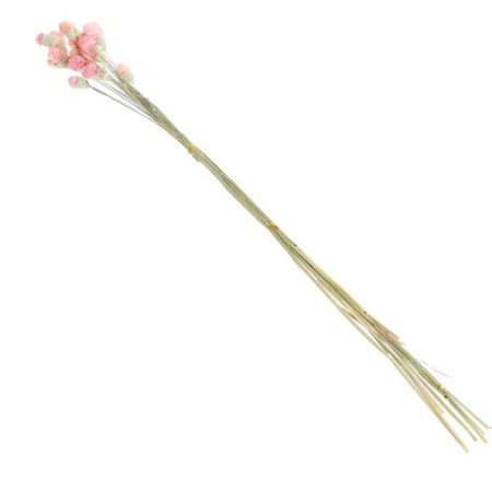 Sukhotzet "Gomprane Sherrovid" set - from 17 to 20 pcs., Pink color-4
