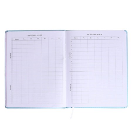 Universal diary for grade 1-11 Cotton Candy, solid cover, artificial leather, silkography, liesse, 80 g/m3-4
