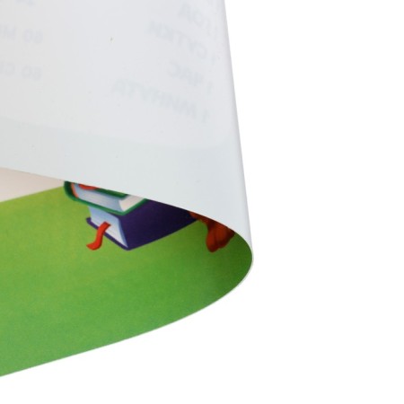 Laying on the table plastic A3 (460 x 330 mm), calligrata, "Russian language/ mathematics" 430 μm, teaching-4