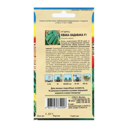 Cucumber seeds "Kvak-Zadavaka F1", 0.25 g-1