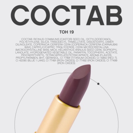 Vivienne Sabo Nude Createur lipstick, tone is 19 gray-blue-13