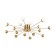 Freya FR5242CL-16BS Celebrity, 838x838x103 mm ceiling lamp, G4, 16x3W, brass color