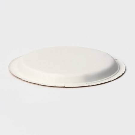 Disposable paper plate "Crafts", D = 23 cm-2