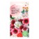 Flower seeds Malopa "bright mixture" of the three -time, 0.25 g